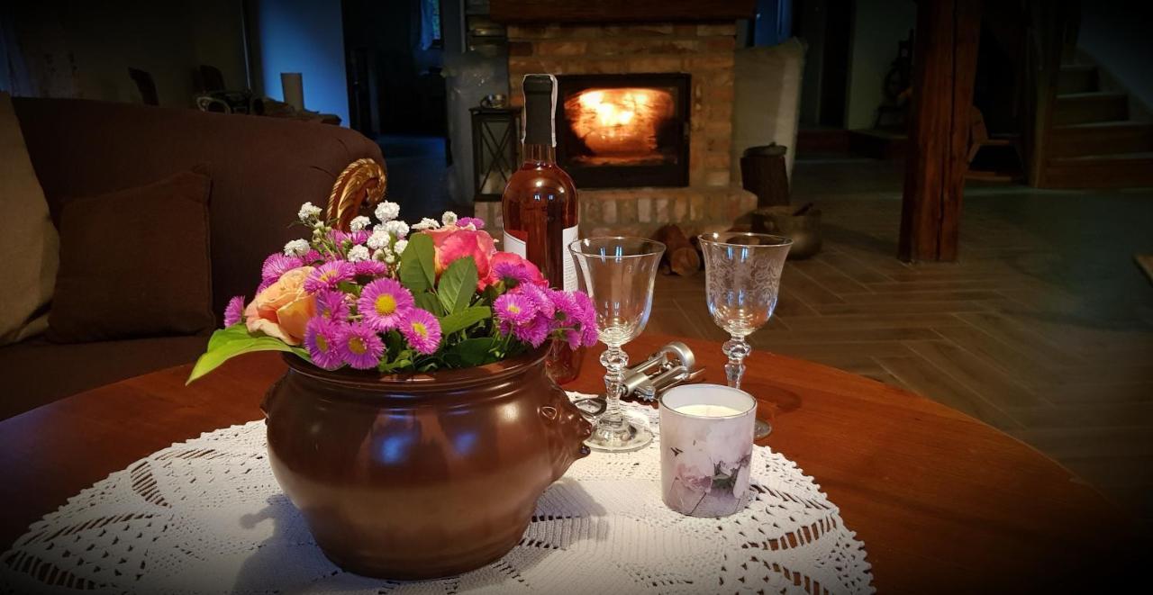 Wilcza Gajowka Villa Sosnówka Kültér fotó