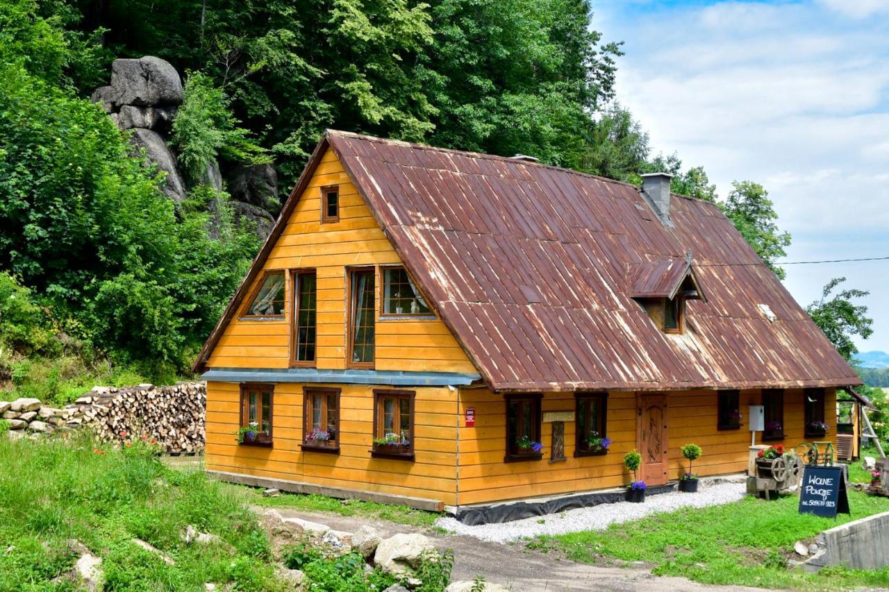 Wilcza Gajowka Villa Sosnówka Kültér fotó